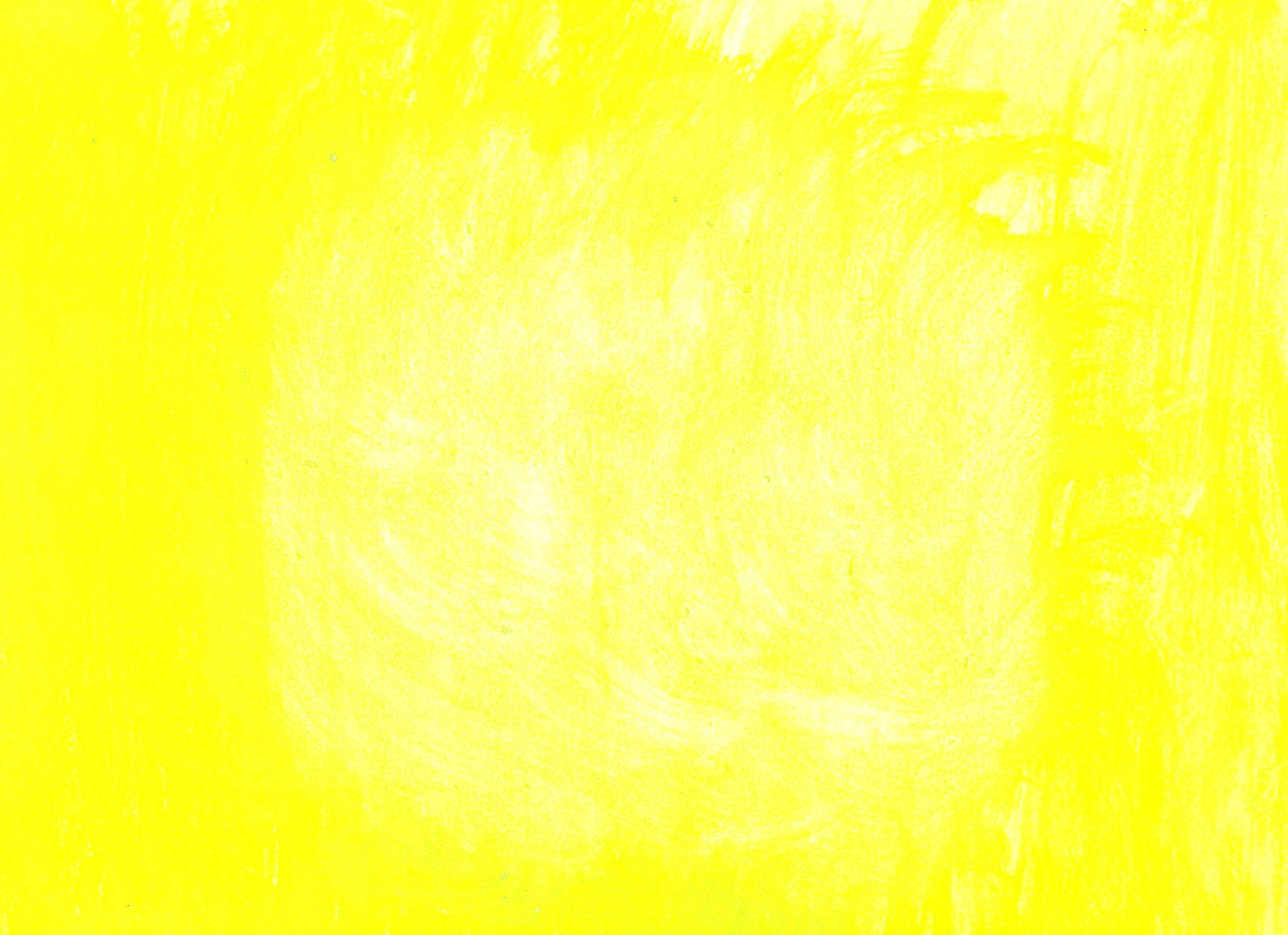 auf Karton — Stefan vom Scheidt